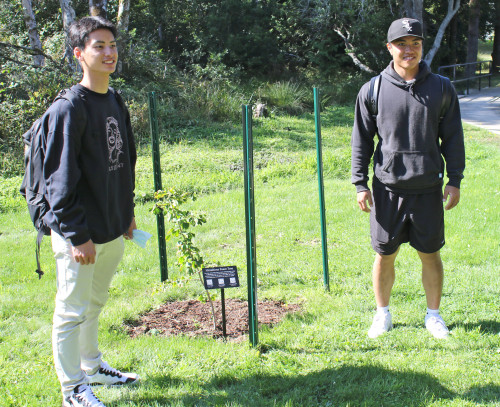 Two students stand beside the Ginkgo tree